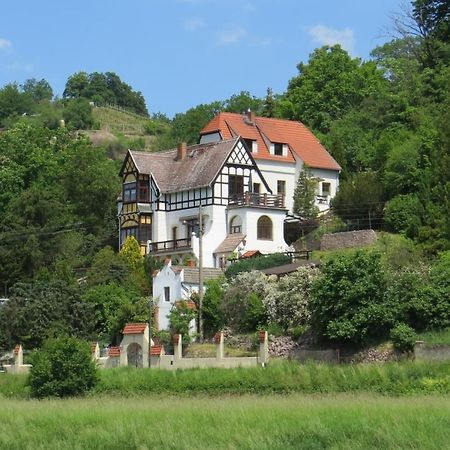 Ferienwohnung Elbsommer Am Weinberg Meißen Zewnętrze zdjęcie