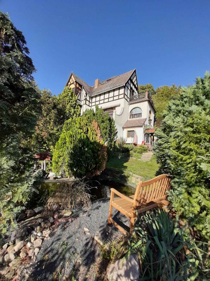 Ferienwohnung Elbsommer Am Weinberg Meißen Zewnętrze zdjęcie