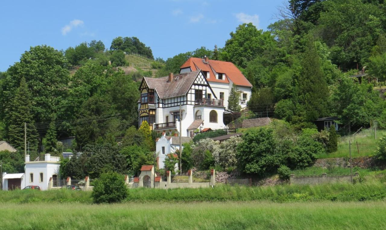 Ferienwohnung Elbsommer Am Weinberg Meißen Zewnętrze zdjęcie