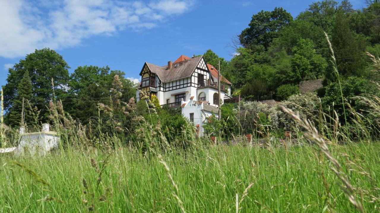 Ferienwohnung Elbsommer Am Weinberg Meißen Zewnętrze zdjęcie